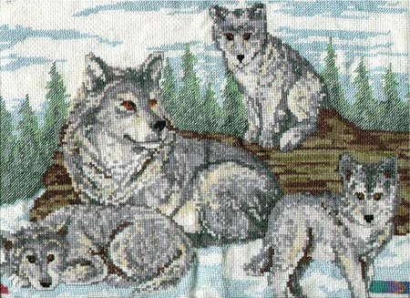 Cross-stitched Wolves