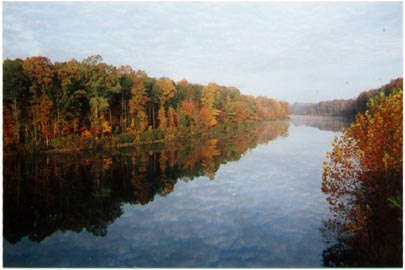 Lake Mackintosh